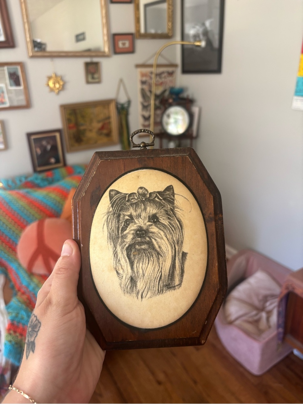 Vintage Wooden Framed Yorkie Portrait - Brown & Cream